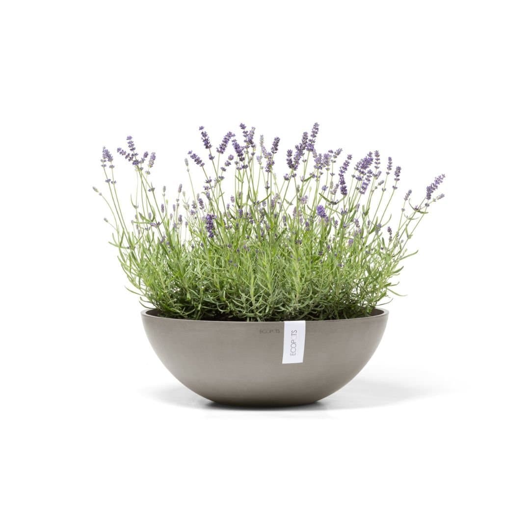 Ecopots Vienna Taupe, image 1 of 3