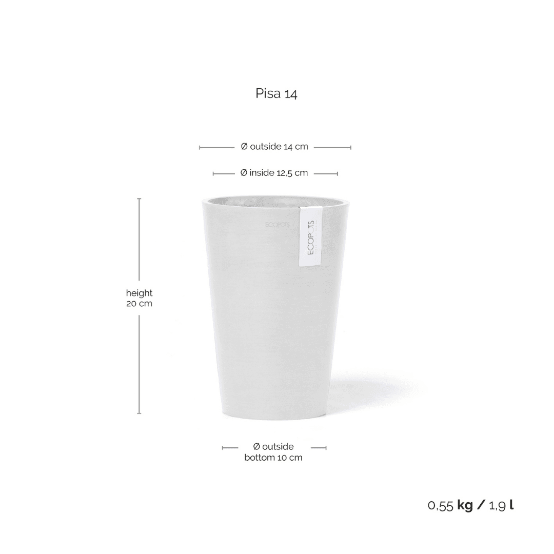Ecopots Pisa Pot, image 1 of 9