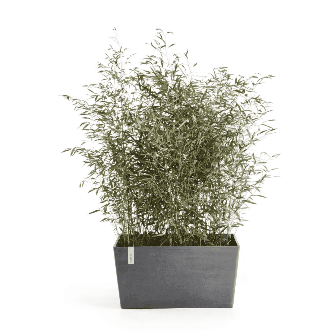Ecopots Paris Gray 80cm, image 1 of 3
