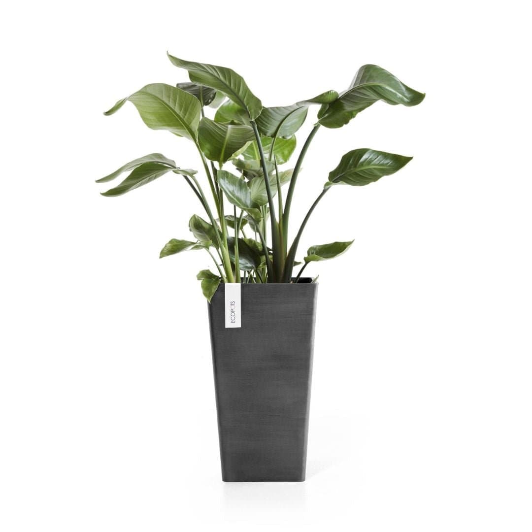 Ecopots Rotterdam Mid High 56 Dark Gray, image 1 of 3