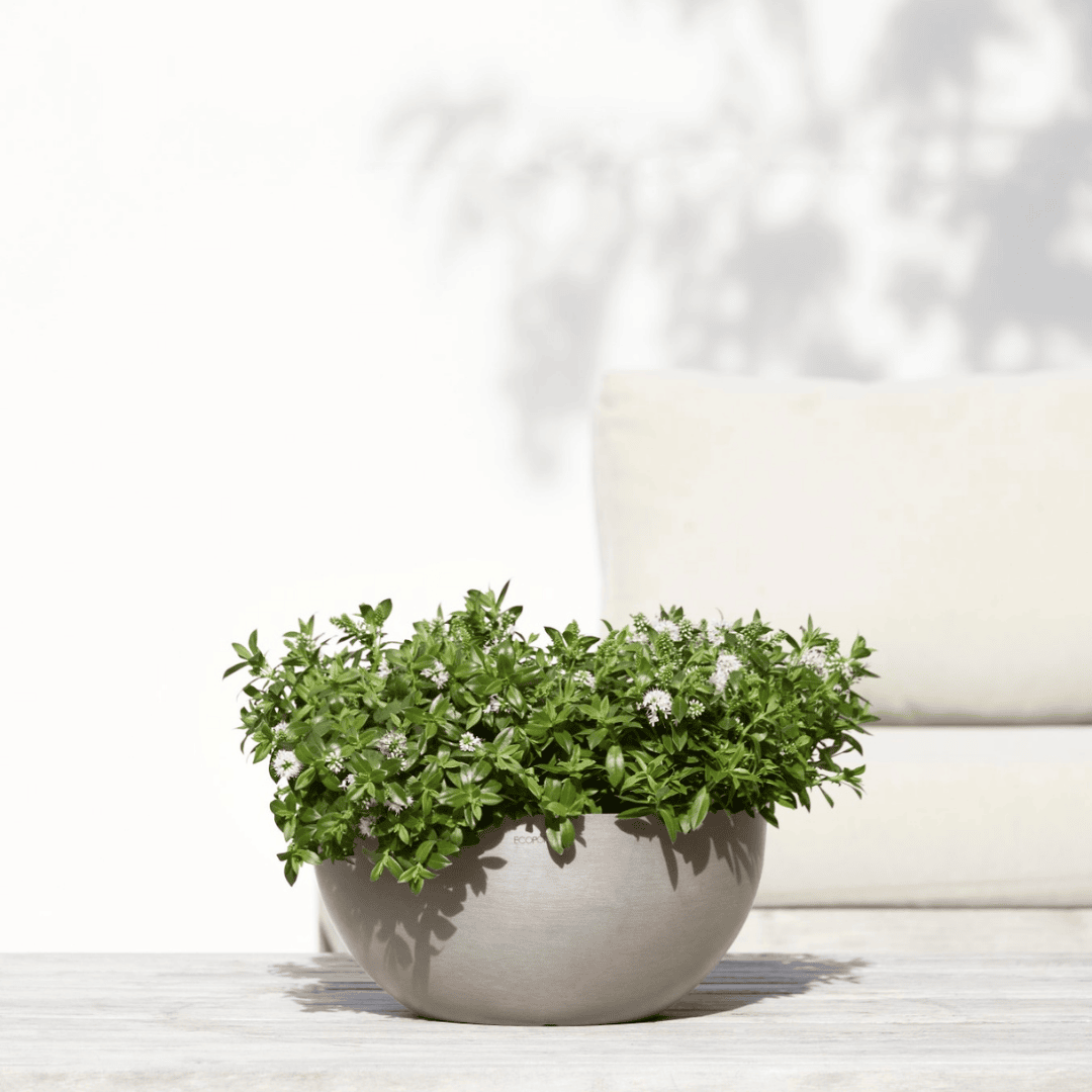 Ecopots Brussels 35 Taupe, image 1 of 4