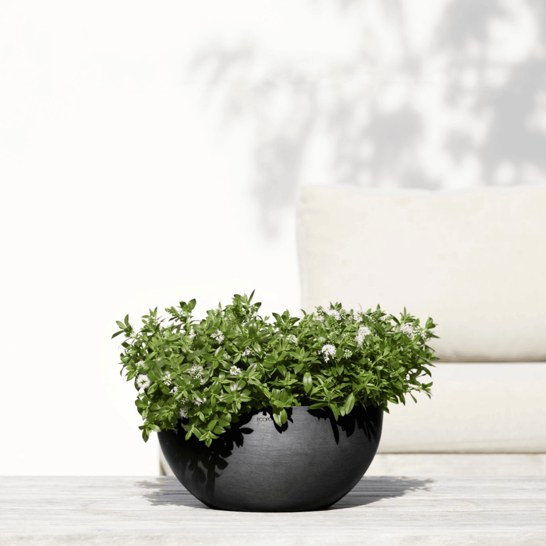 Ecopots Brussels 35 Dark Gray, image 1 of 4
