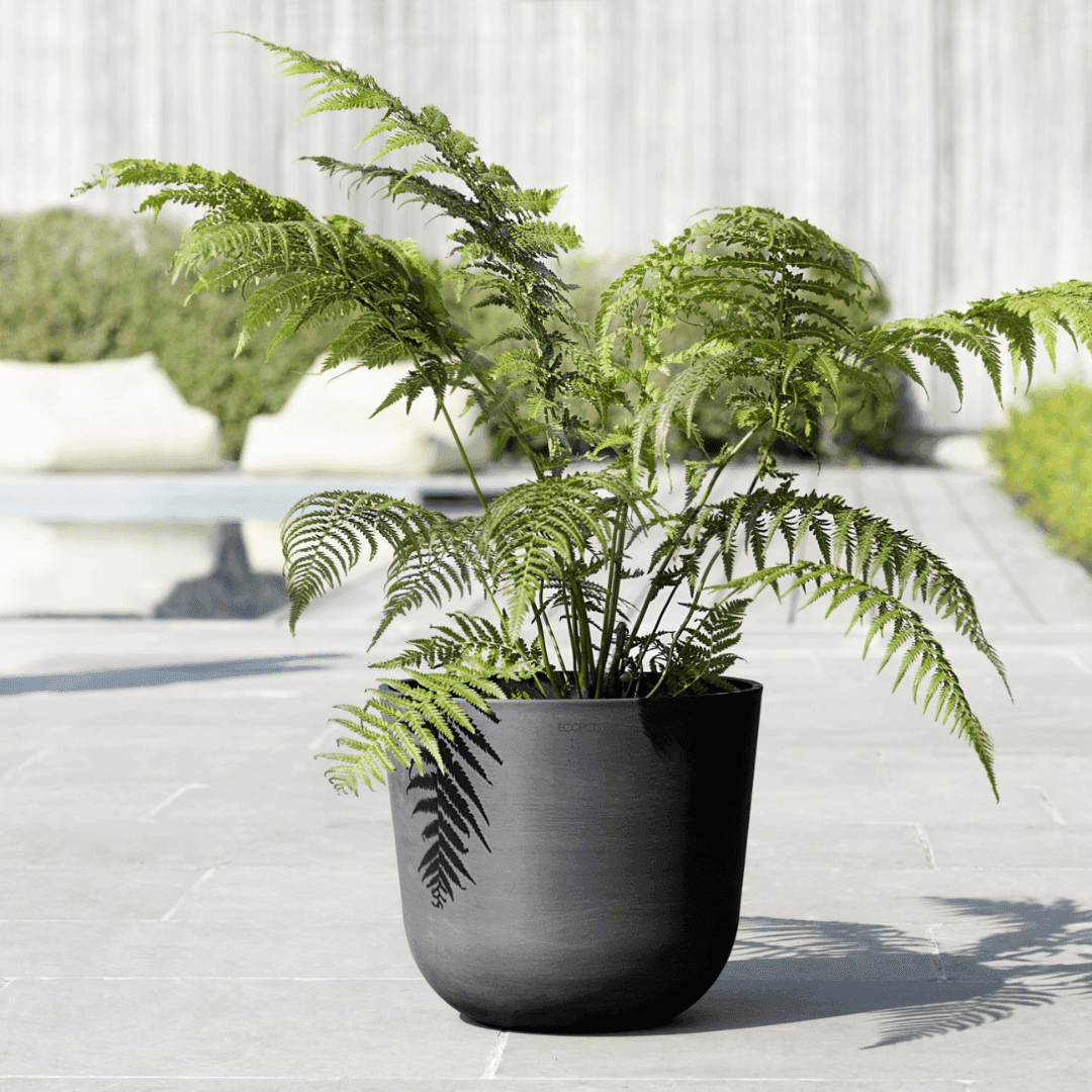 Ecopots Oslo Dark Gray, image 1 of 8