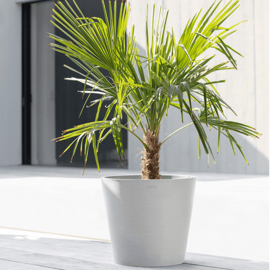 Ecopots Amsterdam White Gray, image 1 of 9