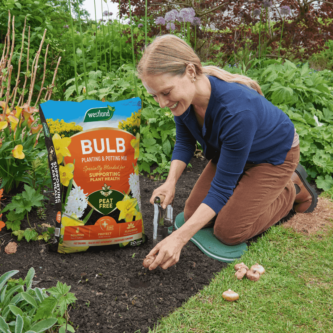 Westland Bulb Planting & Potting Mix, image 1 of 2