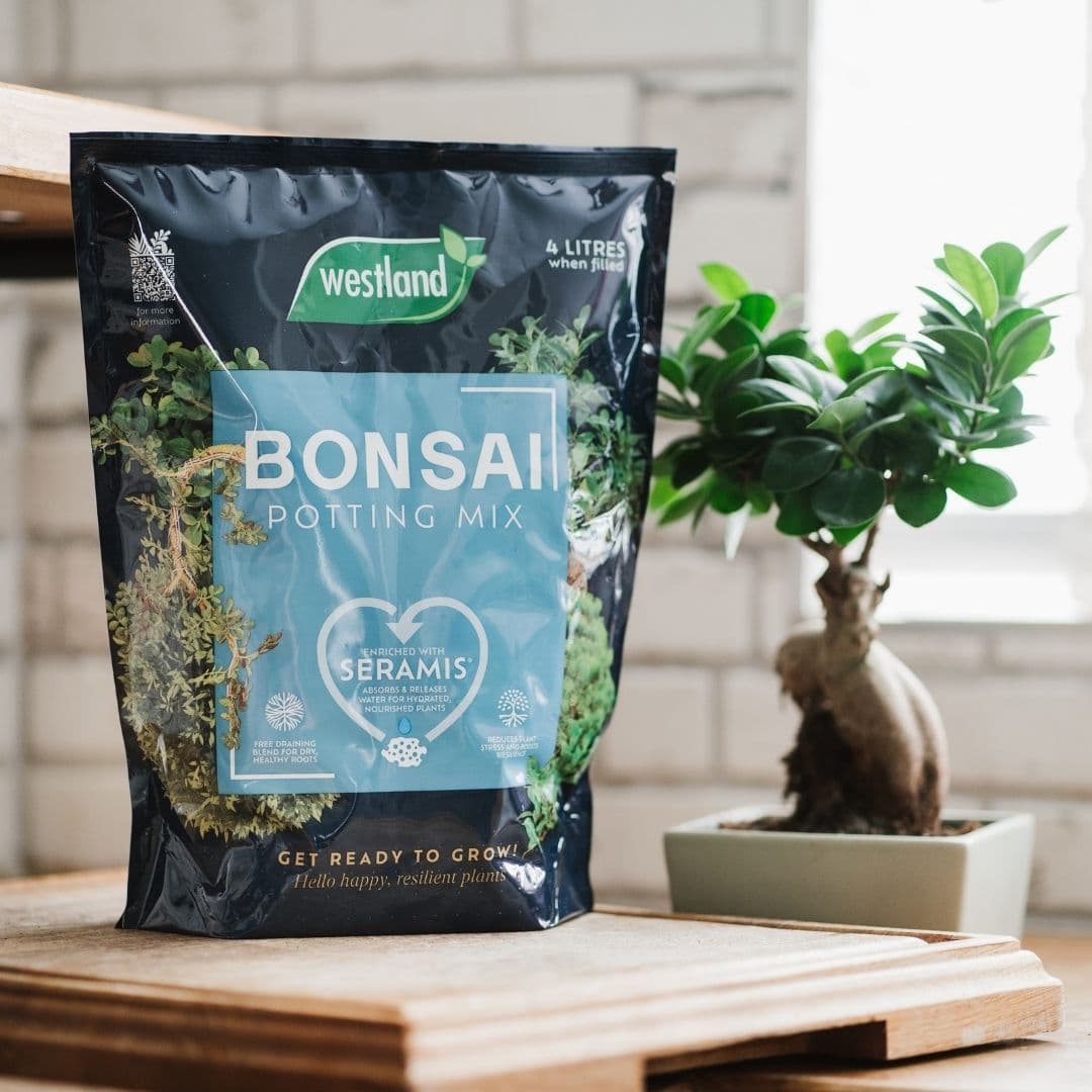 Westland Bonsai Potting Mix 4 Liters, image 1 of 3