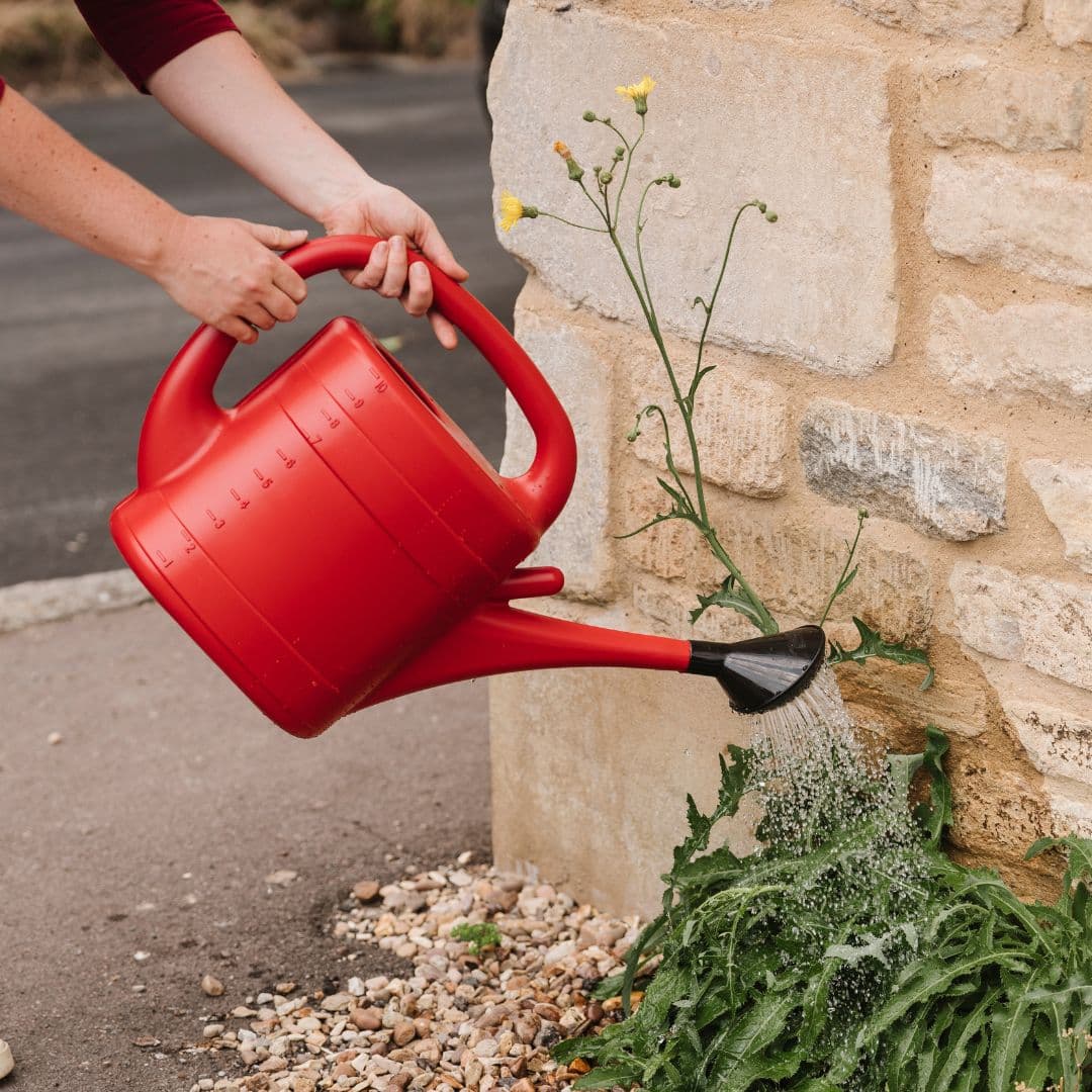 Flopro Fineflo Red Watering Can 10L, image 1 of 2